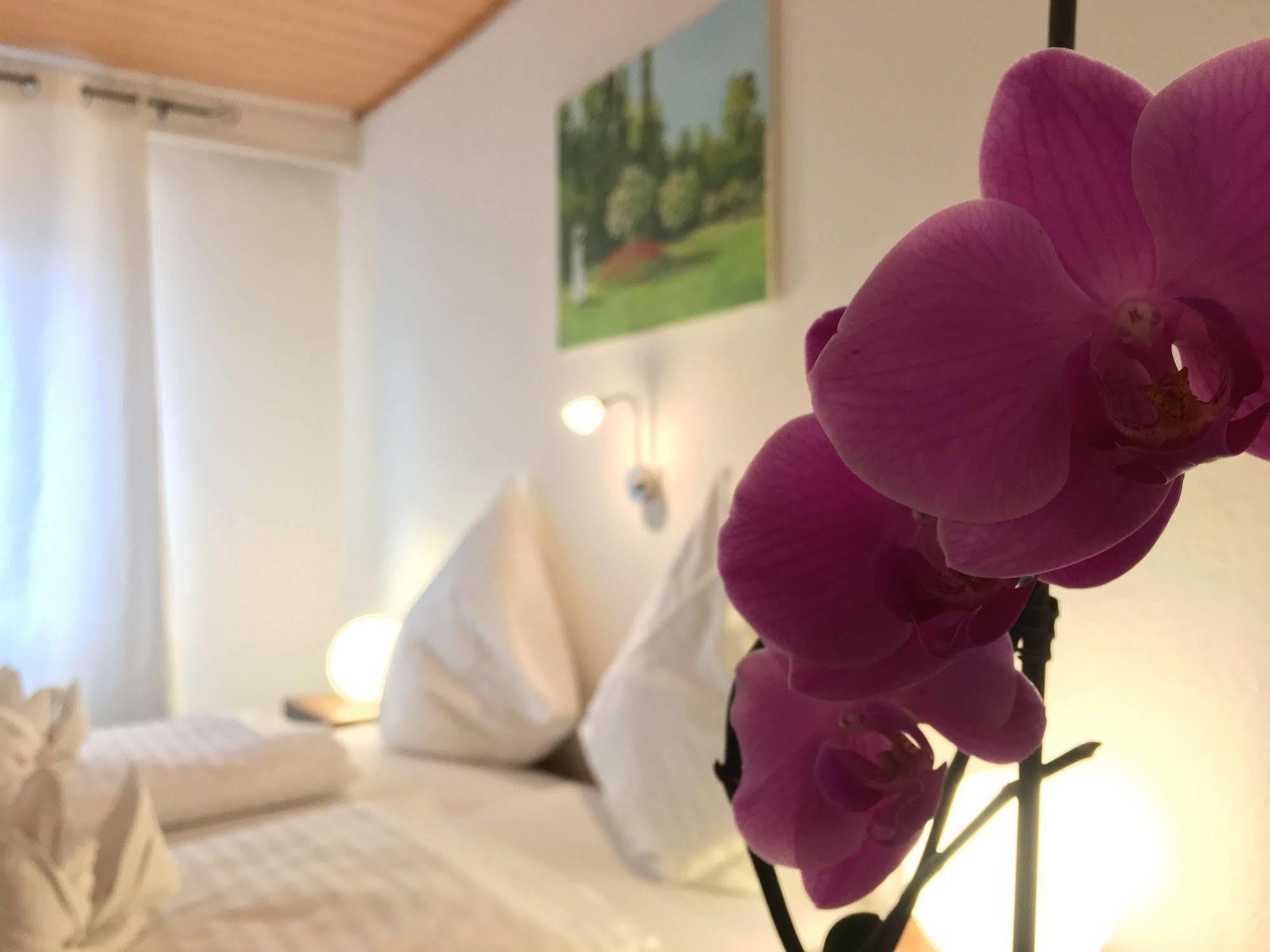 City Hotel Diez 迭斯 外观 照片